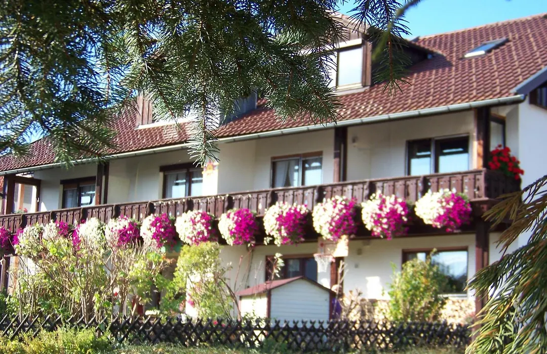 Pension Erna-1