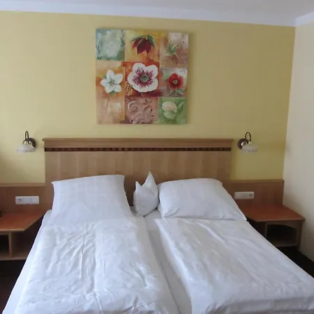 Pension Zur Alten Schmiede-2